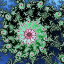 sunse's avatar
